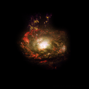 142 circinus galaxy.png