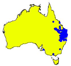 Angophora leiocarpa DistMap.png