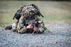 C Squadron from the Queen's Royal Hussars conduct Junior NCO Cadre. MOD 45161771.jpg