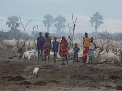 Cattle Herders at Cattle Camp in Rumbek, South Sudan.jpg