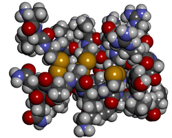 Cobatoxin 1 space fill.png