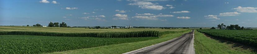 Corn fields near Cayuga, Indiana