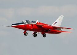 Gnat (cropped).jpg