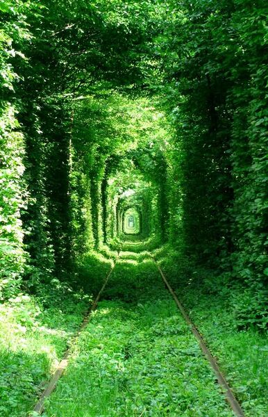 File:Green Mile Tunnel, Rivne.jpg