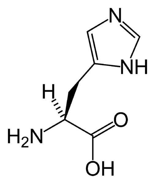 File:L-histidine-skeletal.png