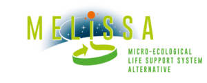 LOGO MELISSA.png