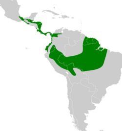 Lophostrix cristata map.svg