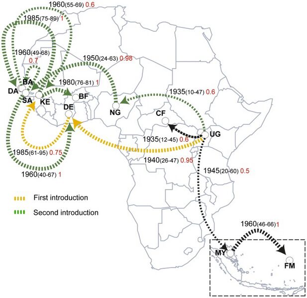 File:Molecular-Evolution-of-Zika-Virus-during-Its-Emergence-in-the-20th-Century-pntd.0002636.g002.jpg