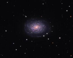 NGC 5962, 32 inch Schulman Foundation telescope on Mt. Lemmon, courtesy Joseph D. Schulman.jpg