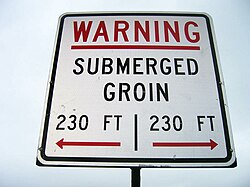 North Carolina road sign warning of SUBMERGED GROIN.jpg
