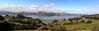 Otago Harbour and Roseneath from Strawberry Lane Sawyers Bay.jpg