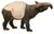 Tapir white background.jpg