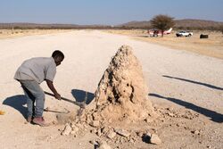 Termite mound on runway at Khorixas (2018).jpg