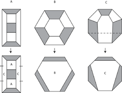 Trefoil subdivision rule.png