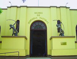 UNMSM museo historianatural.jpg