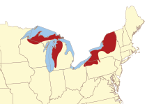 File:USA-Lake-Effect-Snow-Areas.svg