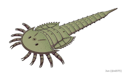 20200606 Chasmataspis laurencii.png