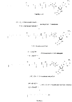 Bombykol biosynthesis pathway.gif