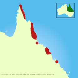 Calamus-australis-distribution-map.png