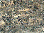 Chondrites fossil cropped.png