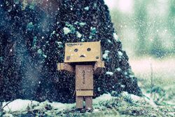 Danbo's first snow.jpg