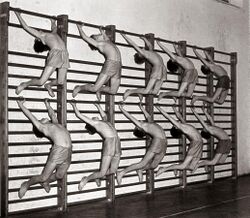 Dijaki 7. gimnazije v Mariboru pri telovadbi 1957.jpg