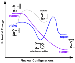 Energy of triplet and quintet states of Mn-Oxo species.gif