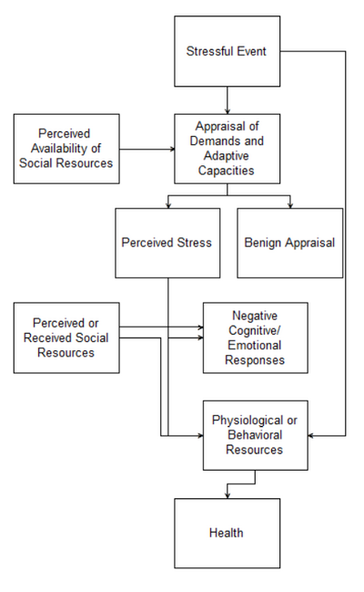 Figure 2: Stress-buffering model of social ties and health. Adapted from Kawachi and Berkman (2001).