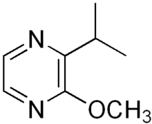 Chemical structure of isopropyl methoxypyrazine