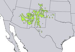 Juniperus monosperma range map.jpg