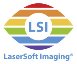 LSI Logo.svg