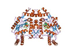 PDB 1fol EBI.jpg