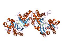 PDB 1qd1 EBI.jpg