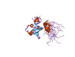 PDB 1ufn EBI.jpg