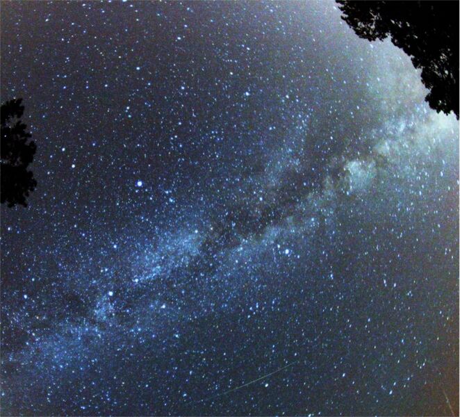 File:Perseid Meteor.jpg