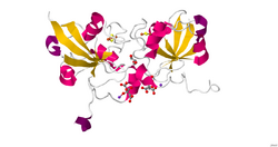 3P1M.pdb1.png