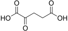 Alpha-ketoglutaric acid.png