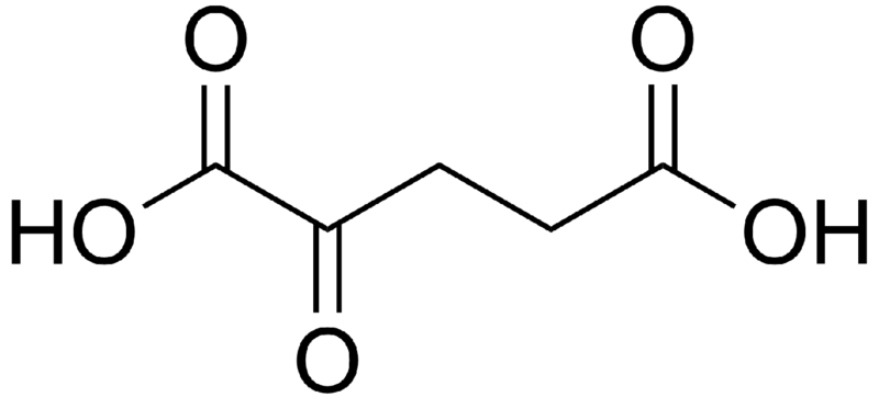 File:Alpha-ketoglutaric acid.png