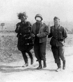 Amerykański parlamentariusz prowadzony przez dwóch niemieckich żołnierzy (2-409).jpg