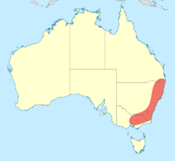 Caliagrion billinghursti distribution map.svg