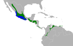 Catharus aurantiirostris map.svg