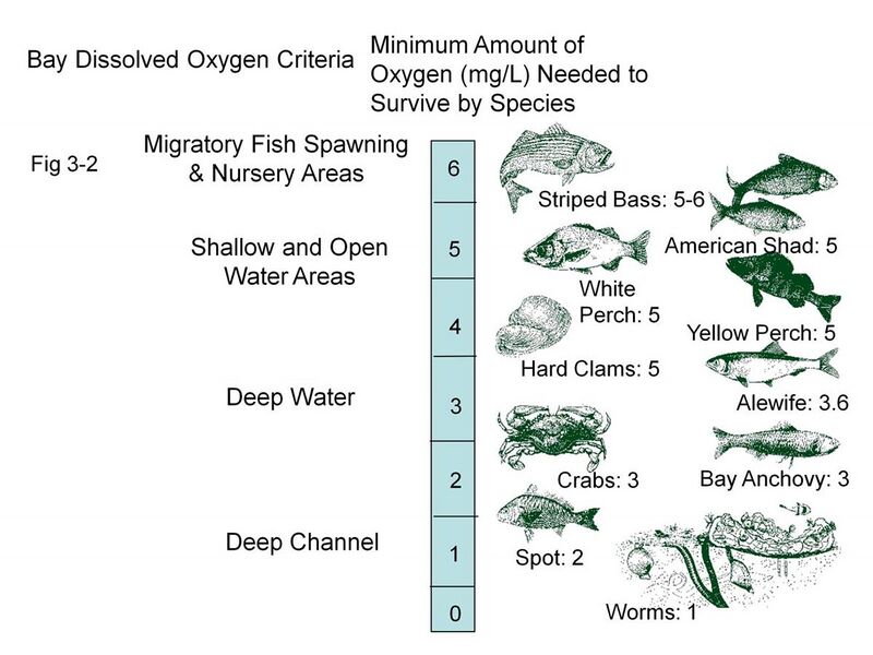 File:Chesapeake Bay - Dissolved oxygen requirements.jpg