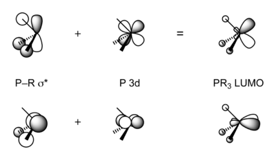 Molecular orbital scheme, illustrating the linear combination of P–R σ* and P 3d orbitals to form PR3 π-acceptor orbitals