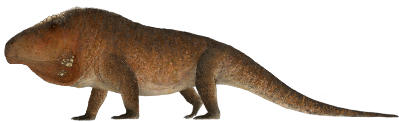 File:Erythrosuchus.png