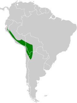 Gallinago andina map.svg