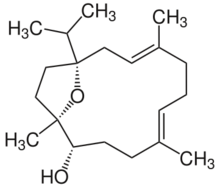 Incensole.svg