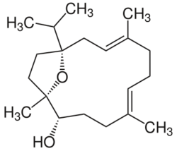 Incensole.svg