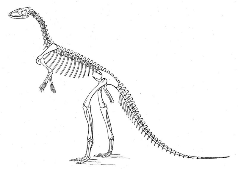 File:Marsh laosaurus.jpg