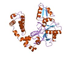 PDB 1zqi EBI.jpg