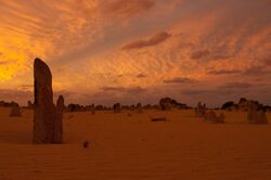 Pinnacles gnangarra-62.jpg